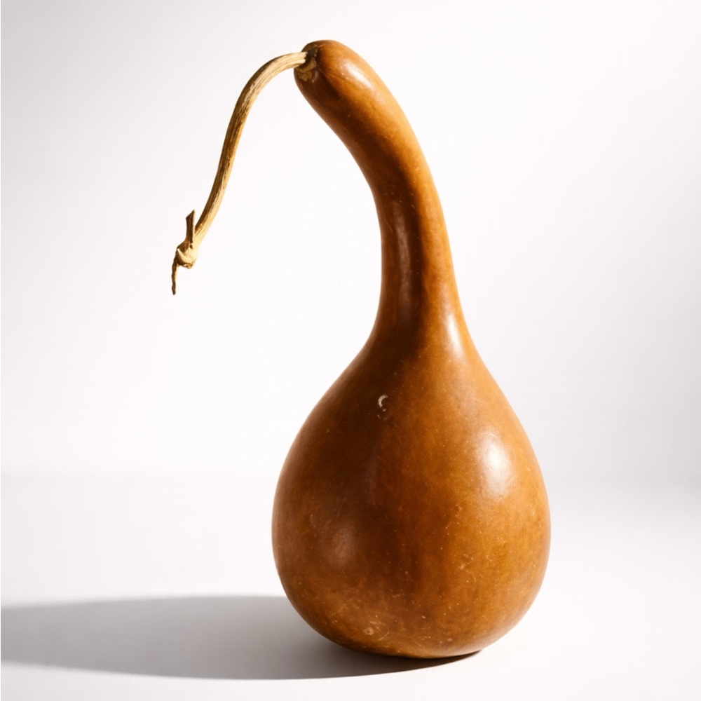 GORGEOUS‎ DRIED ORGANIC GOURD - BEAUTIFUL SHAPE AND COLOUR